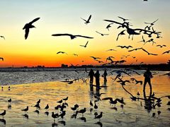 -老虎石海上公园