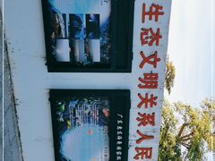 -广东惠东海龟国家级自然保护区