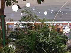 -大树餐厅(红旗街万达店)