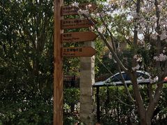 -上海崇明金茂凯悦酒店