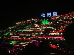 -枇杷园食为鲜火锅(南山店)