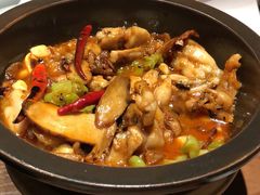 -云海肴·汽锅鸡·云南菜(天山百盛优客店)