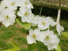 -白塘生态植物园