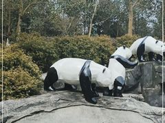 -都江堰中华大熊猫苑