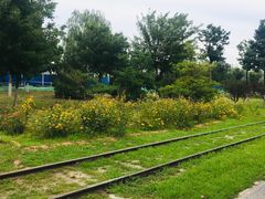 -永定河休闲森林公园