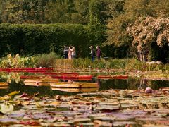 -国家植物园南园