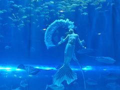 -华夏文旅西安度假区