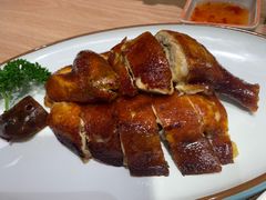 -南枝记