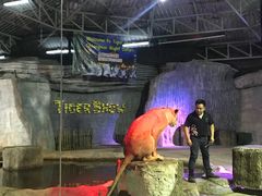 -清迈夜间动物园