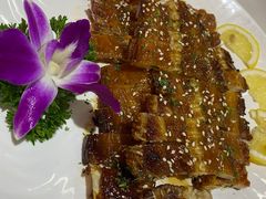 -港升鱼师傅·中山脆肉鲩