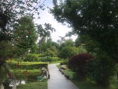-成飞公园