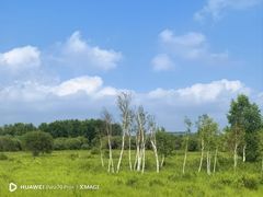 -御道口草原森林风景区