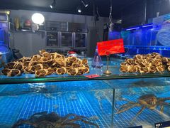 -日进一片海.生腌海鲜火锅.宵夜烧烤(三里屯总店)