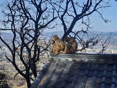 -西昌邛海湿地