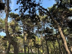 -长春市南湖公园