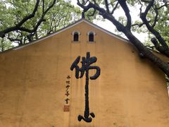 -普陀山风景名胜区-法雨禅寺