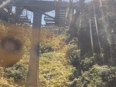 -福建泉州仙公山风景名胜区
