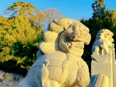 -香山公园