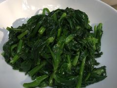 五粮液嫩豆苗-玫瑰厅上海菜(兴国路店)