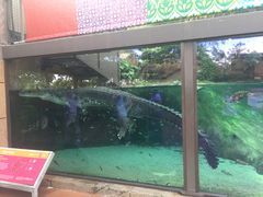 -河川生态园