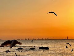 -老虎石海上公园