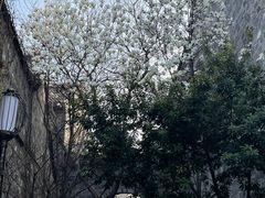 -老门东历史文化街区