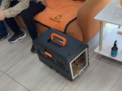 -申普宠物医院·眼科·心内科·影像科(普陀分院)
