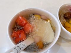 -凉凉海石花
