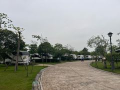 -美的鹭湖森林度假区