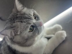 -我舞空间舞蹈培训