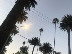 -比弗利花园