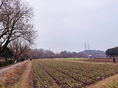 -八卦田遗址公园