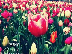 -保利石象湖景区
