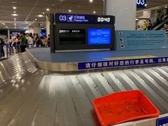 -合肥新桥国际机场-航站楼