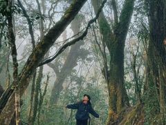 -云南屏边大围山国家公园