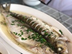 太湖白鱼（三白之一）-古尚锦酒楼·水上餐厅