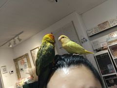 -大悦城(沈阳中街店)