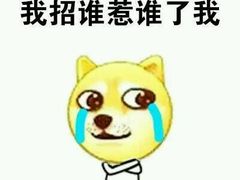 -SFC上影影城(临平店)