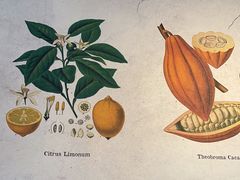 -Buonissimo(佛罗伦萨小镇店)