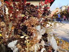 -嵩祝寺及智珠寺