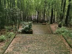 -重庆雨台山风景区