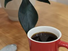 -echoes coffee回响咖啡(红山店)