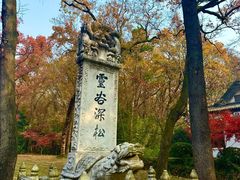 -灵谷景区