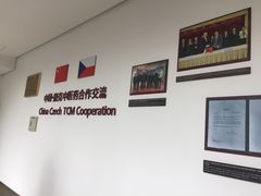 -上海中医药大学附属曙光医院(东部)