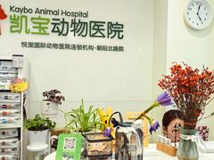 -悦宠凯宝动物医院·牙科·皮肤科(朝阳北路店)