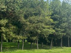 -汉长安城未央宫国家考古遗址公园