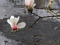 -东华门大街小区