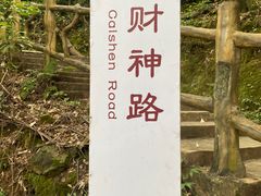 -南丹山森林王国