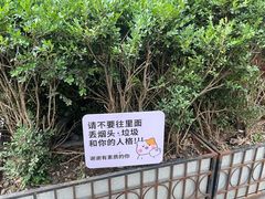 -瑞虹新天地月亮湾