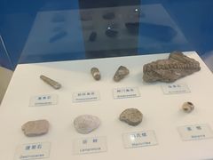 -吉林省自然博物馆